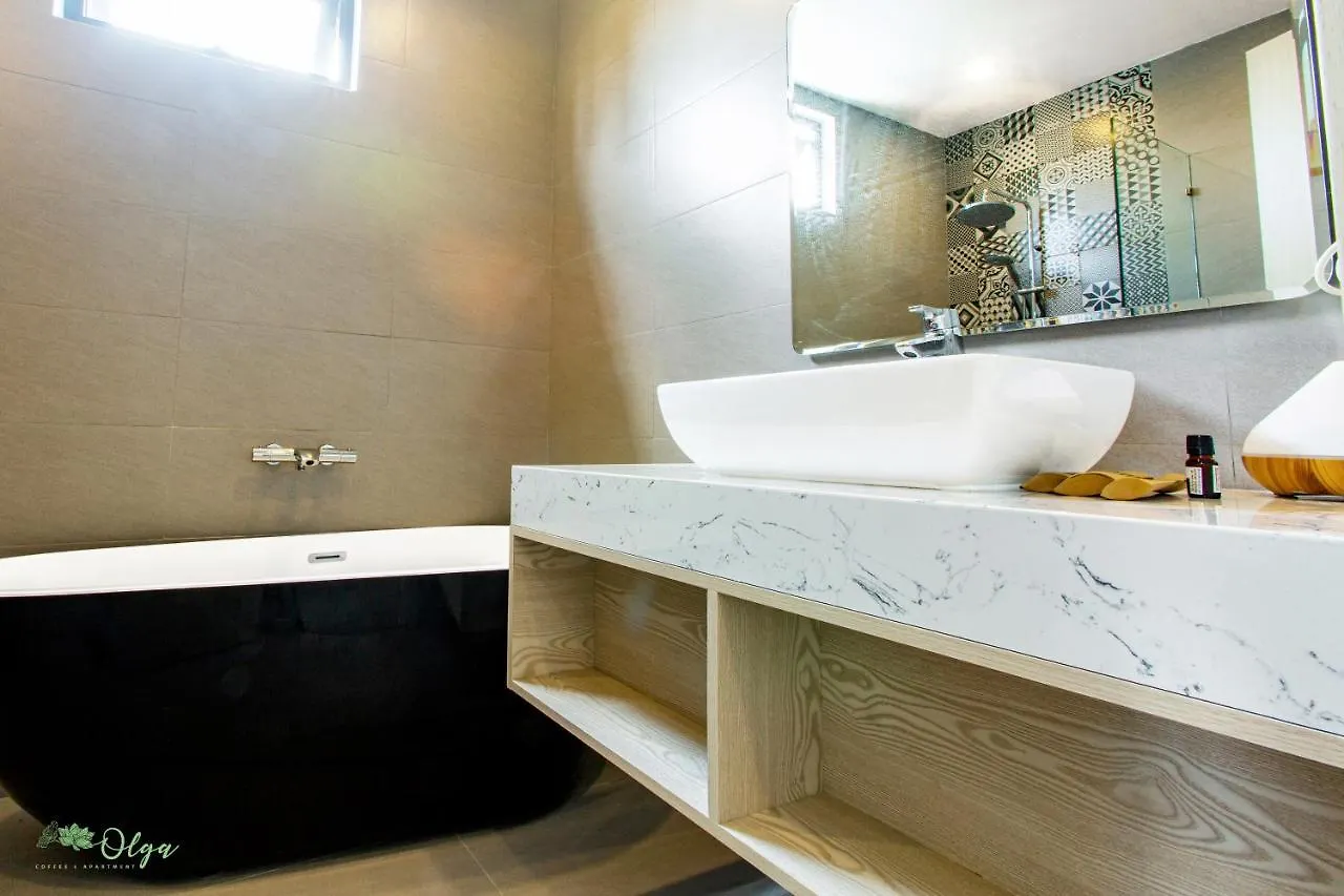 Olga Apartments Da Nang 3*,